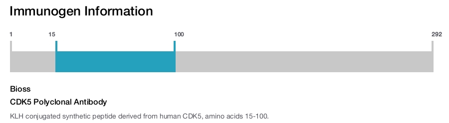CDK5 Polyclonal Antibody