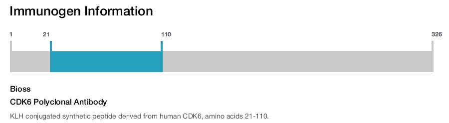 CDK6 Polyclonal Antibody