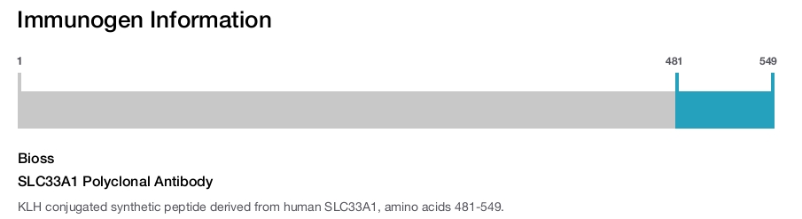 SLC33A1 Polyclonal Antibody