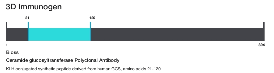 Ceramide glucosyltransferase Polyclonal Antibody