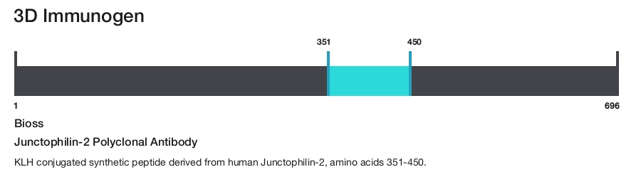 Junctophilin-2 Polyclonal Antibody