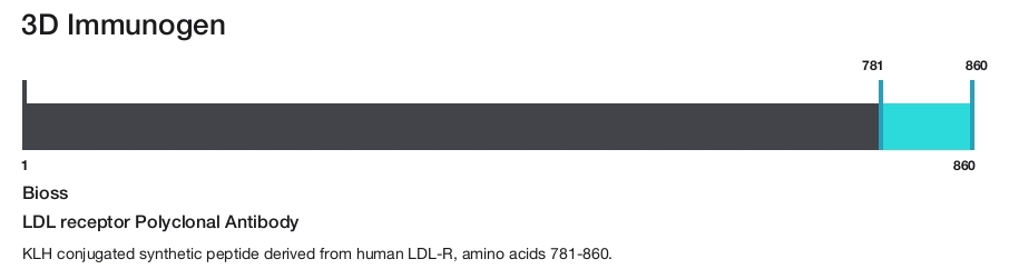 LDL receptor Polyclonal Antibody