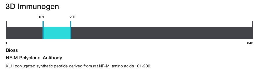 NF-M Polyclonal Antibody