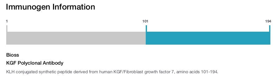 KGF Polyclonal Antibody