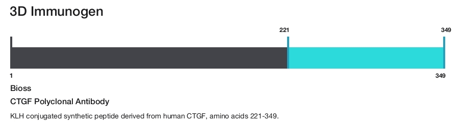 CTGF Polyclonal Antibody