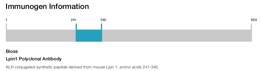 Lpin1 Polyclonal Antibody