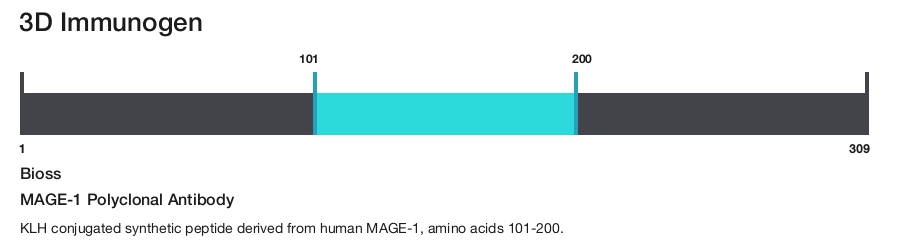 MAGE-1 Polyclonal Antibody
