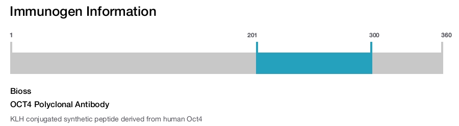 OCT4 Polyclonal Antibody