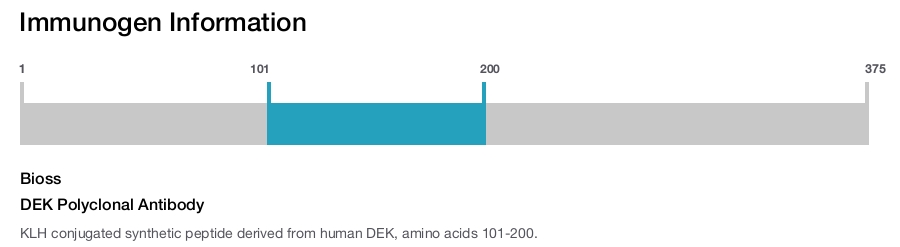 DEK Polyclonal Antibody