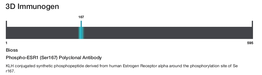 Phospho-ESR1 (Ser167) Polyclonal Antibody