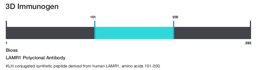 LAMR1 Polyclonal Antibody