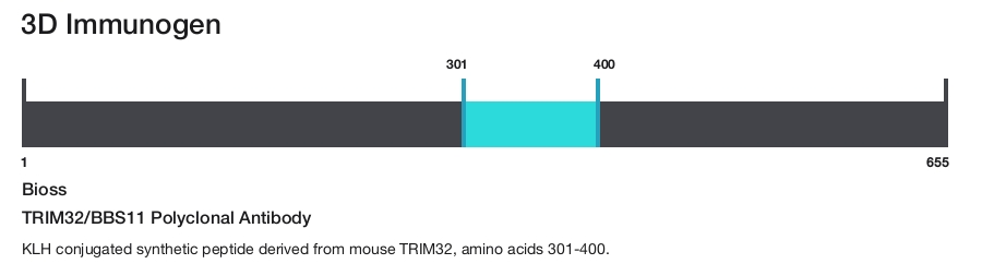 TRIM32/BBS11 Polyclonal Antibody
