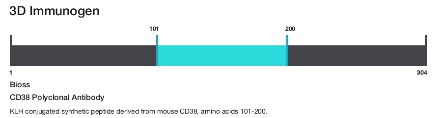 CD38 Polyclonal Antibody