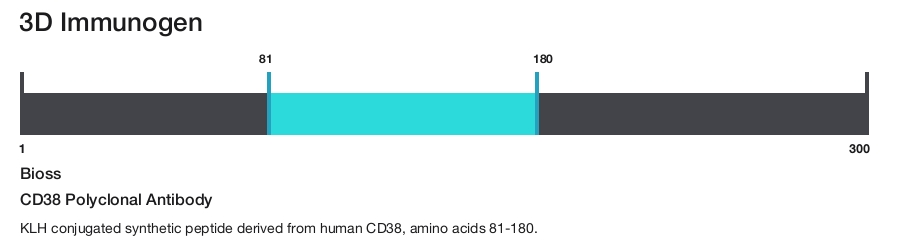 CD38 Polyclonal Antibody
