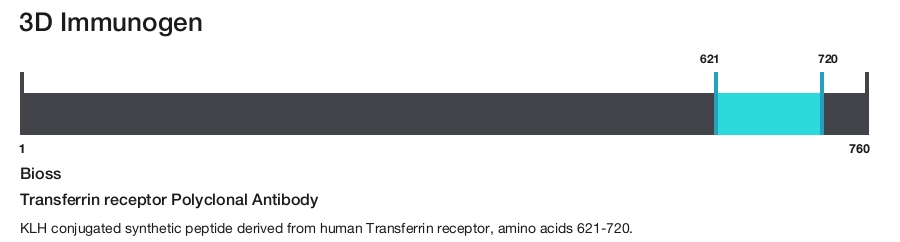 Transferrin receptor Polyclonal Antibody
