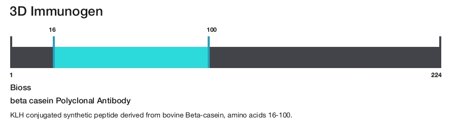 beta casein Polyclonal Antibody