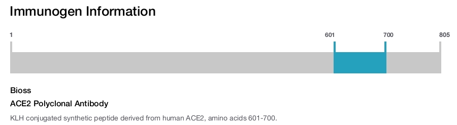 ACE2 Polyclonal Antibody