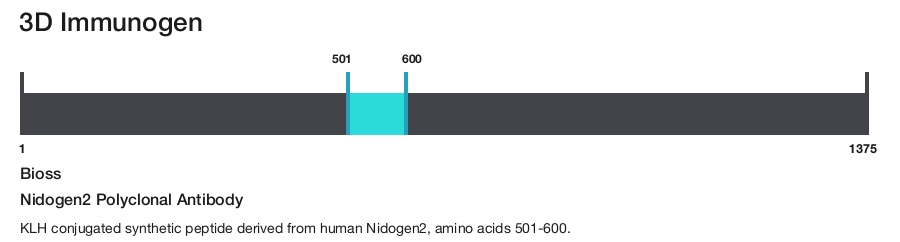Nidogen2 Polyclonal Antibody