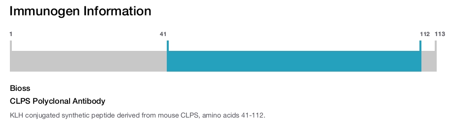 CLPS Polyclonal Antibody