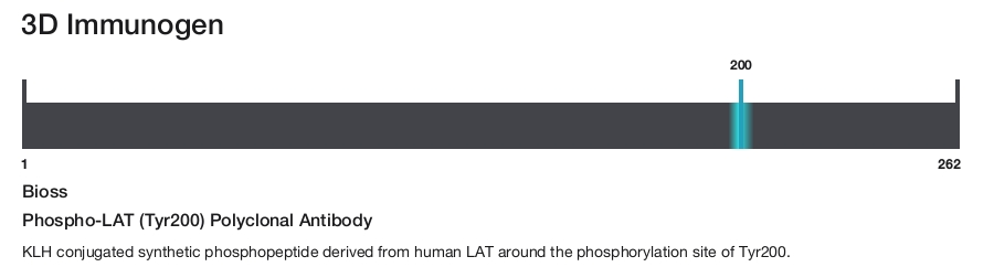 Phospho-LAT (Tyr200) Polyclonal Antibody