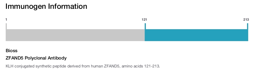ZFAND5 Polyclonal Antibody