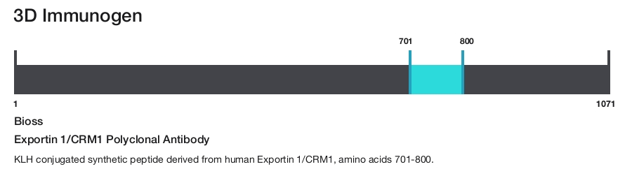 Exportin 1/CRM1 Polyclonal Antibody