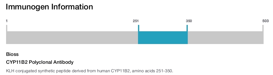 CYP11B2 Polyclonal Antibody