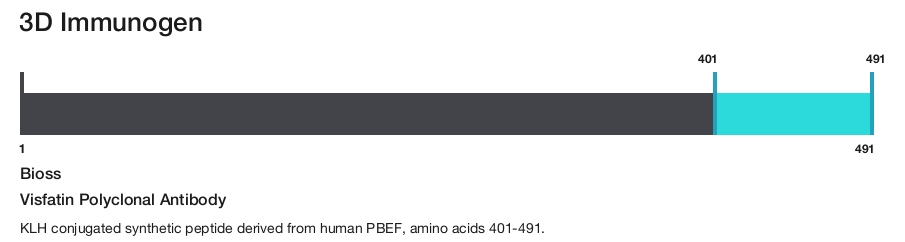 Visfatin Polyclonal Antibody