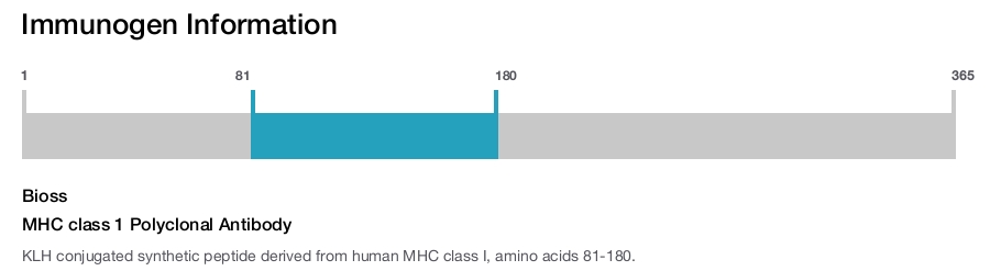 MHC class 1 Polyclonal Antibody