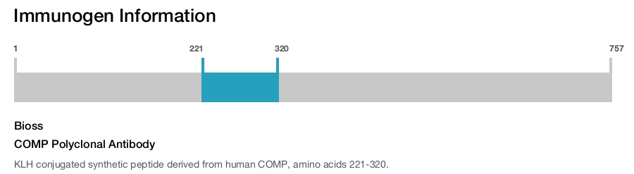 COMP Polyclonal Antibody
