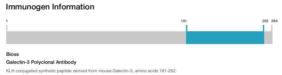 Galectin-3 Polyclonal Antibody