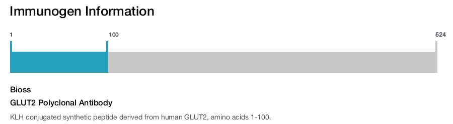 GLUT2 Polyclonal Antibody