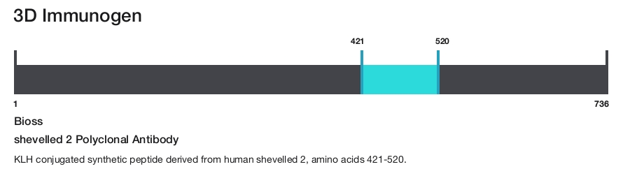 shevelled 2 Polyclonal Antibody