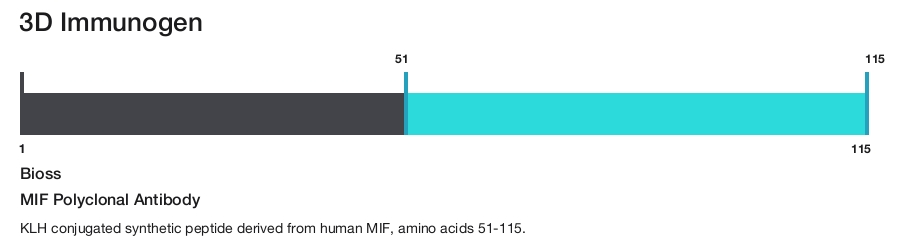 MIF Polyclonal Antibody