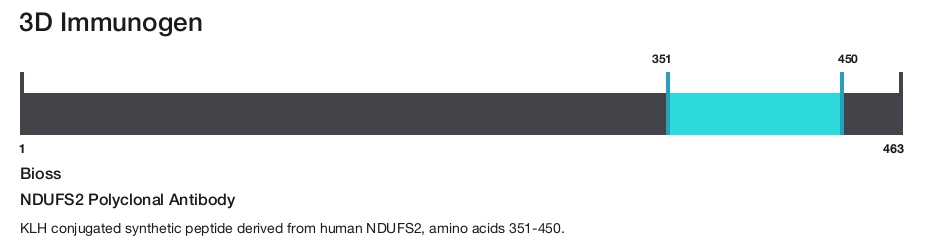 NDUFS2 Polyclonal Antibody