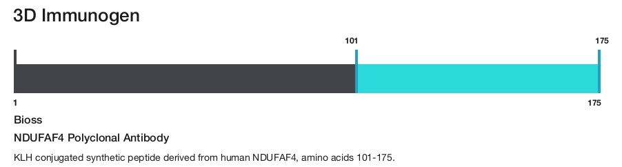 NDUFAF4 Polyclonal Antibody