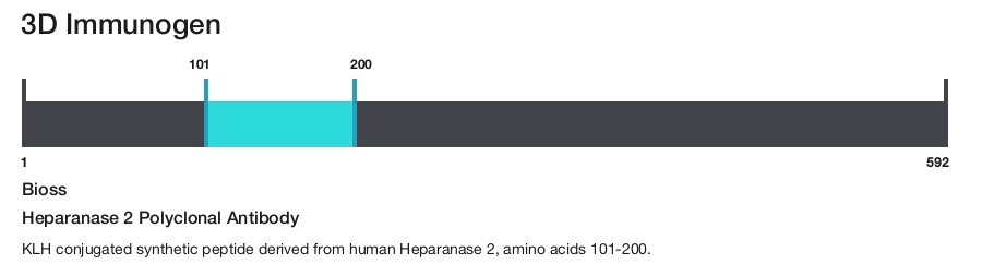 Heparanase 2 Polyclonal Antibody