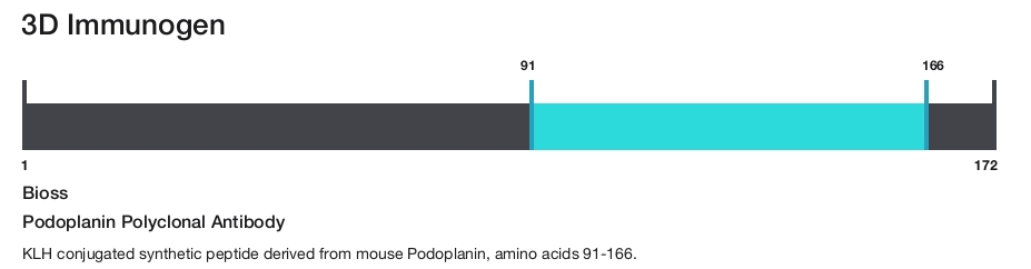 Podoplanin Polyclonal Antibody