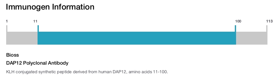 DAP12 Polyclonal Antibody