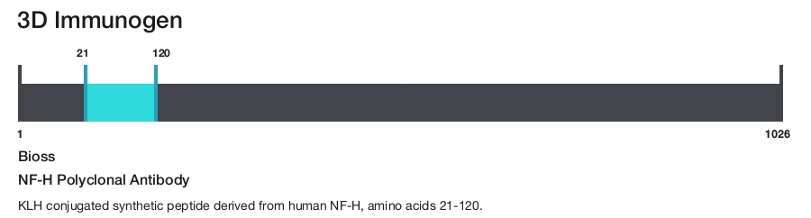 NF-H Polyclonal Antibody