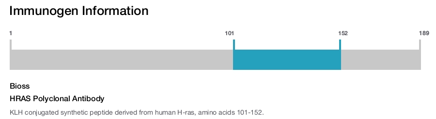 HRAS Polyclonal Antibody