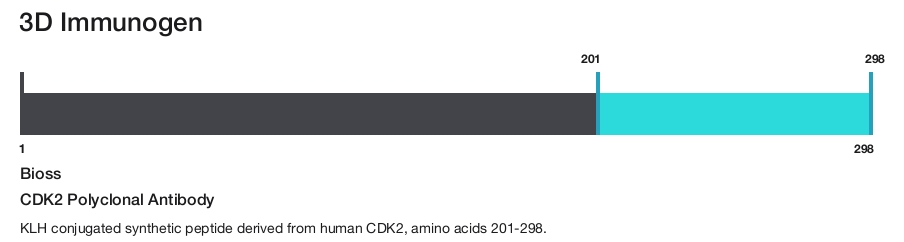 CDK2 Polyclonal Antibody
