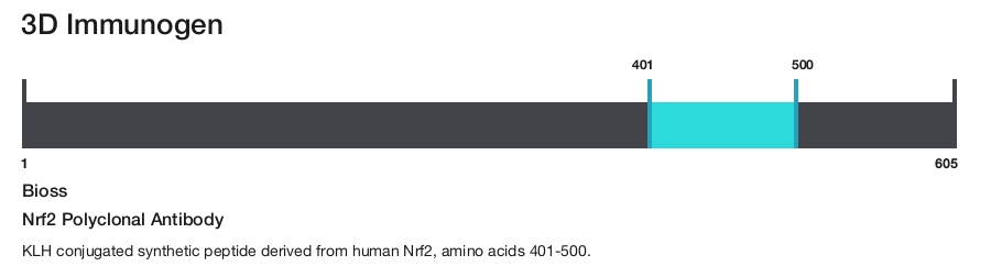 Nrf2 Polyclonal Antibody