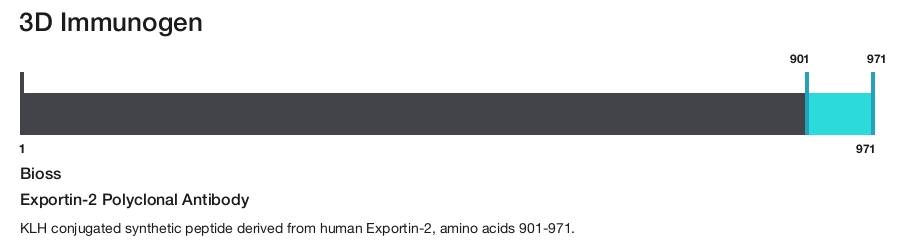 Exportin-2 Polyclonal Antibody