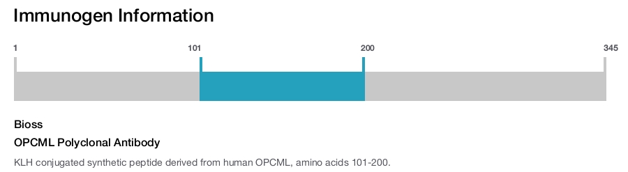 OPCML Polyclonal Antibody