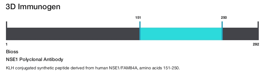 NSE1 Polyclonal Antibody