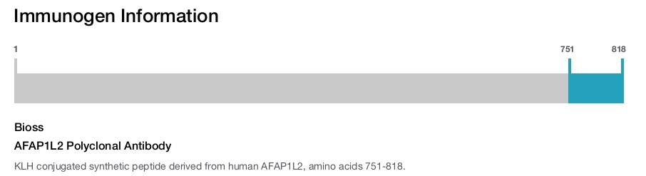 AFAP1L2 Polyclonal Antibody