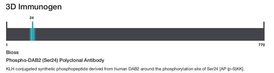 Phospho-DAB2 (Ser24) Polyclonal Antibody