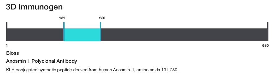 Anosmin 1 Polyclonal Antibody
