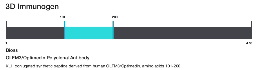OLFM3/Optimedin Polyclonal Antibody